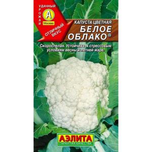 5e4f0b4c-a274-11eb-a887-3cecef014c2b88b614bb-7519-11ec-a8b7-e73da47855341