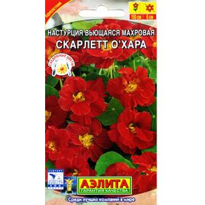 d420b77a-4a87-11eb-a86f-3cecef014c2b272e3019-4b6a-11eb-a86f-3cecef014c2b012261