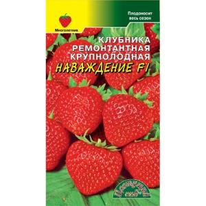 Без имени-398