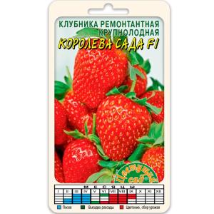 Без имени-396