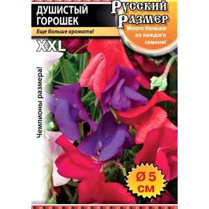 Без имени-390