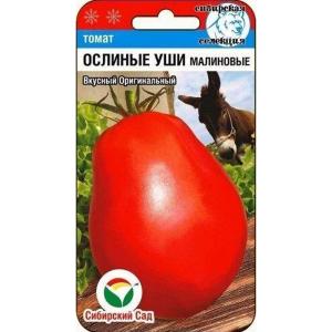 Без имени-458