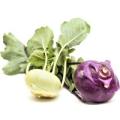 Продажа капуста кольраби