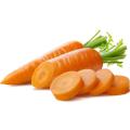 Продажа морковь Продажа морковь