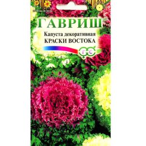 Без имени-1
