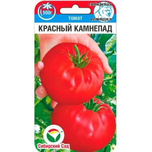 Без имени-204