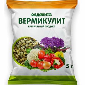 Без имени-374