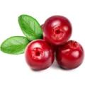 Продажа клюква Продажа клюква