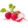 Продажа редис Продажа редис