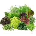 Продажа зелень Продажа зелень