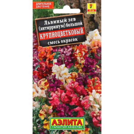 bbf93ed4-5498-11ea-85a9-503eaa02c864495a9ea6-7c7e-11ec-a8b7-e73da47855341