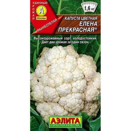 Без имени-395