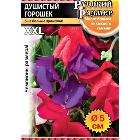 Без имени-390