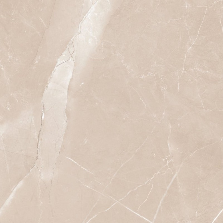 95c4e09d-21e9-11ed-a8cf-3cecef014c2bb51d4ad0-23f7-11ed-a8cf-3cecef014c2b2