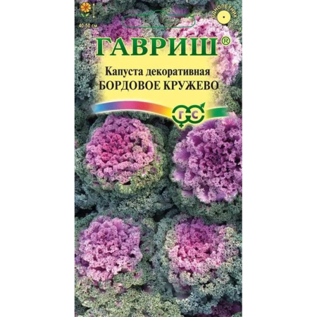 Без имени-393