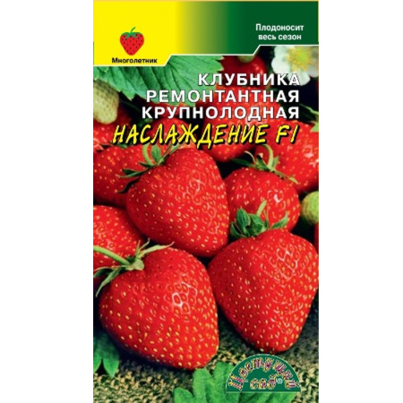 Без имени-399