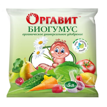 пппп