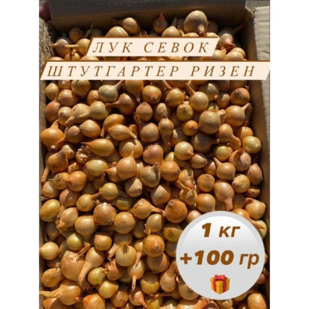 Без имени-127