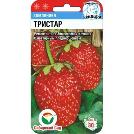 Без имени-402