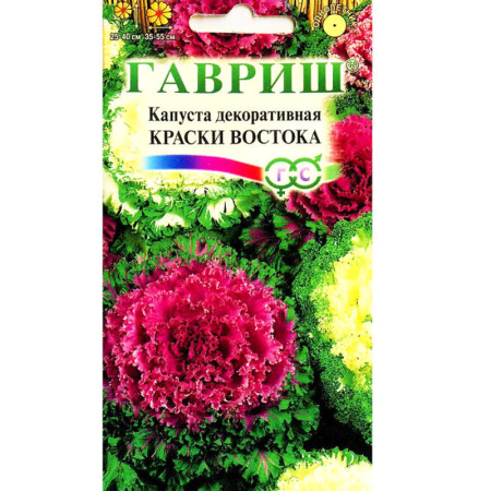 Без имени-1